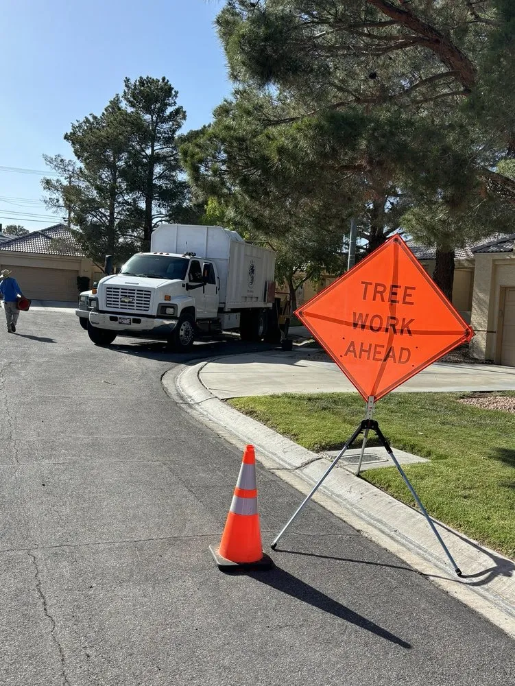 Top-rated landscape design in Enterprise, NV - E &C Outdoor Concepts