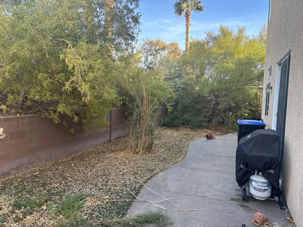 Top-rated landscaping services for homes in Enterprise, NV by E &C Outdoor Concepts