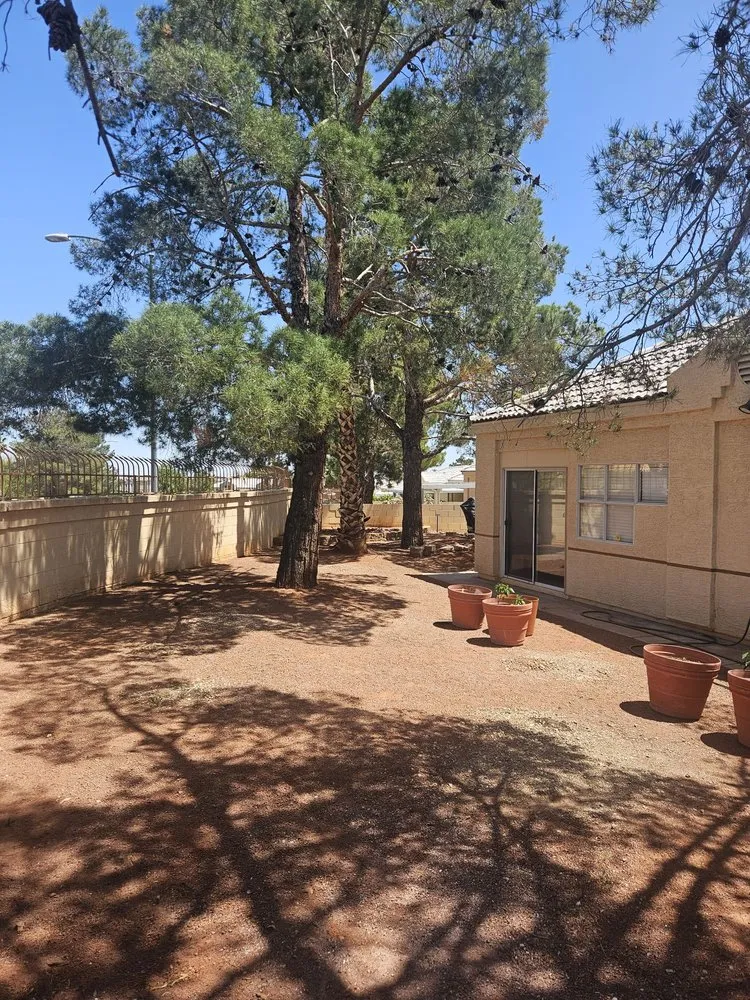 Expert garden landscaping in Enterprise, NV - E &C Outdoor Concepts