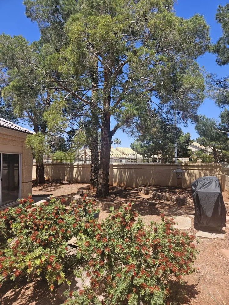 Affordable garden landscaping near you across Enterprise, NV - E &C Outdoor Concepts