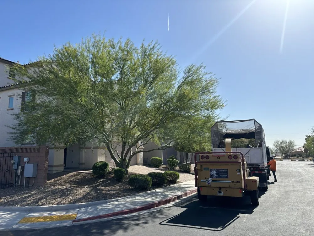 Affordable landscape installation experts serving Enterprise, NV - E &C Outdoor Concepts