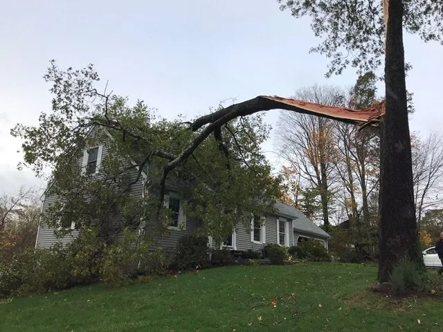 Top-rated landscaping services in Cheshire, CT - E C Tree