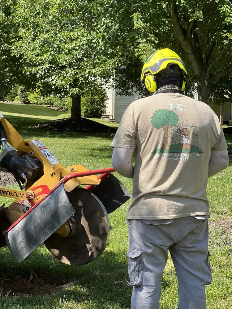 Reliable landscaping services in Perkasie, PA by E C Tree Service & Landscaping