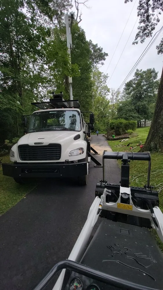 Trusted yard maintenance in Perkasie, PA by E C Tree Service & Landscaping