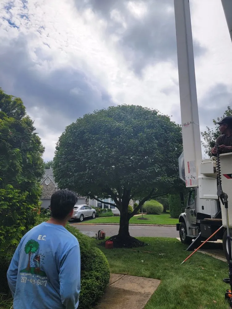 Custom outdoor landscaping in Perkasie, PA - E C Tree Service & Landscaping