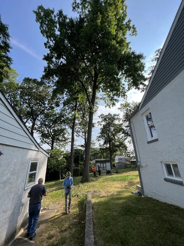 Expert lawn care service for beautiful yards across Perkasie, PA - E C Tree Service & Landscaping