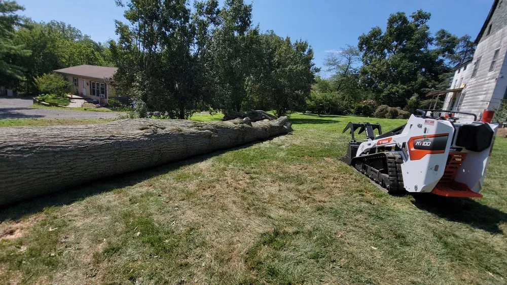 Professional landscape installation experts serving Perkasie, PA - E C Tree Service & Landscaping