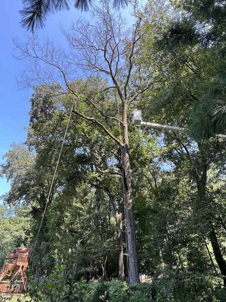 Local lawn mowing service in Perkasie, PA by E C Tree Service & Landscaping