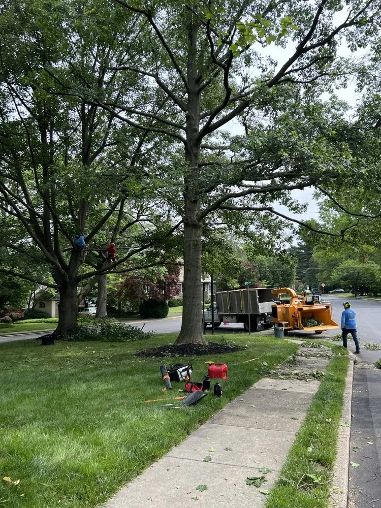 Professional residential landscaping in Perkasie, PA - E C Tree Service & Landscaping