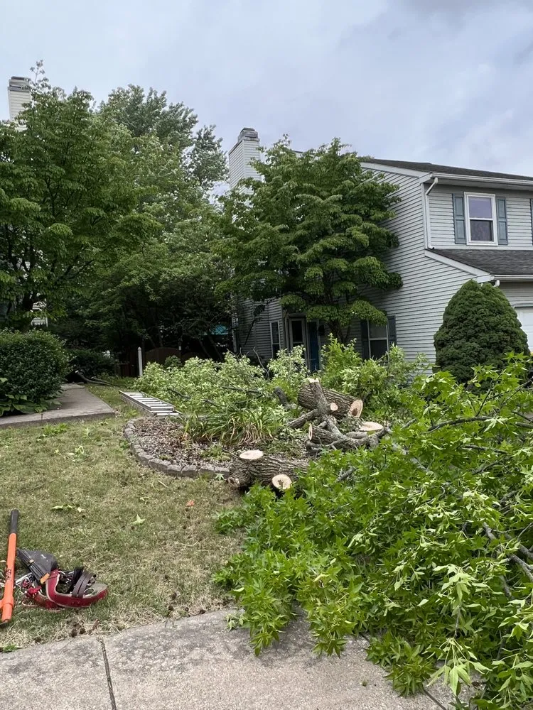 Trusted residential landscaping with custom design in Perkasie, PA by E C Tree Service & Landscaping