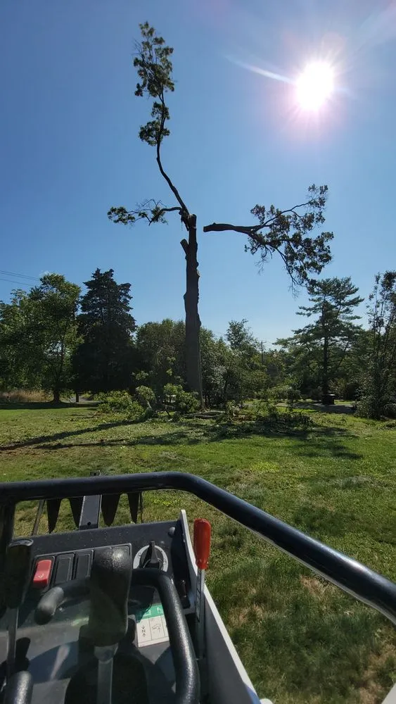 Expert landscaping services in Perkasie, PA by E C Tree Service & Landscaping