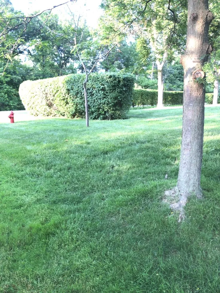 Custom outdoor landscaping for outdoor upgrades in Beach Park, IL by E Cambray Lawn Services