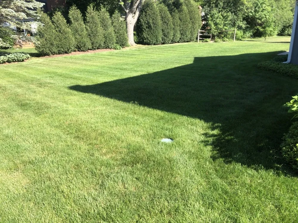 Local outdoor landscaping experts serving Beach Park, IL - E Cambray Lawn Services