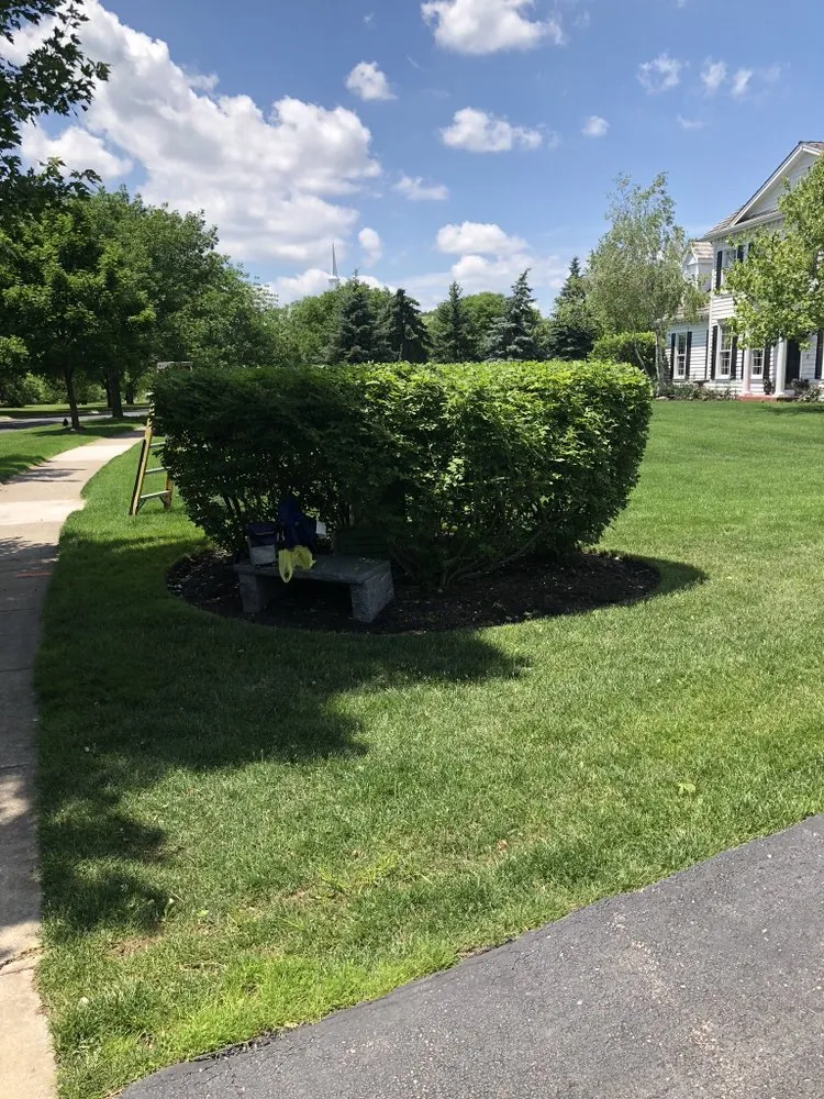 Expert lawn mowing service in Beach Park, IL - E Cambray Lawn Services