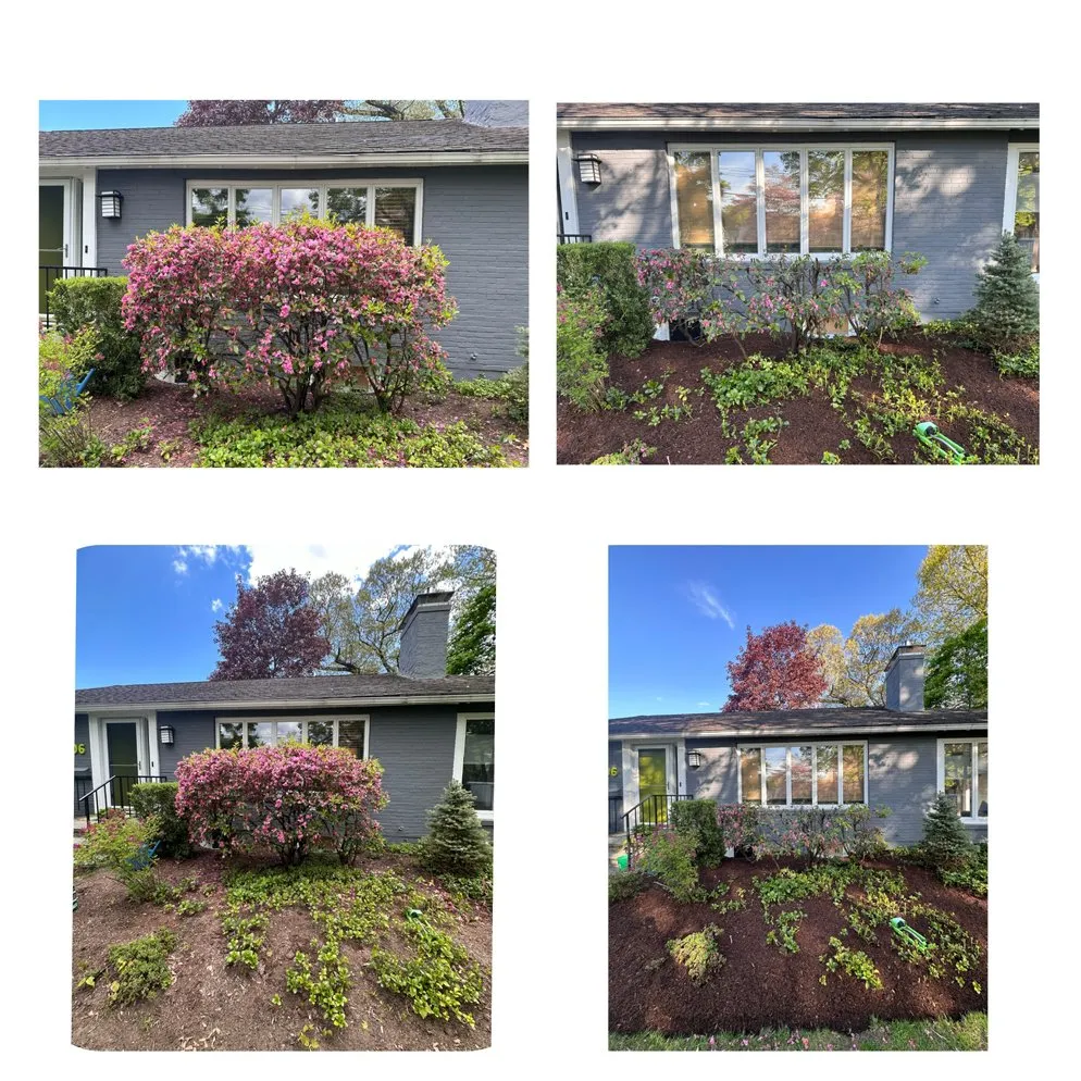 Professional lawn mowing service for beautiful yards across Waltham, MA - E. Carias Landscaping & Construction