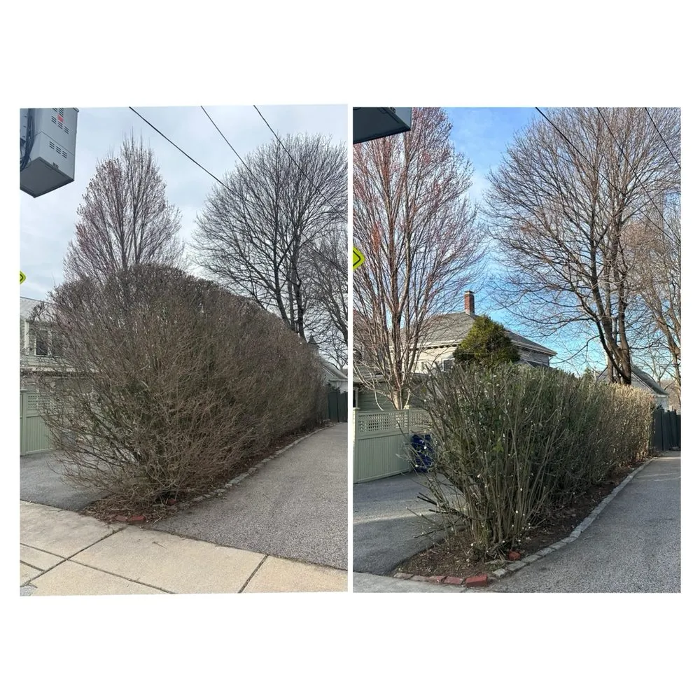 Affordable outdoor landscaping for year-round maintenance across Waltham, MA - E. Carias Landscaping & Construction