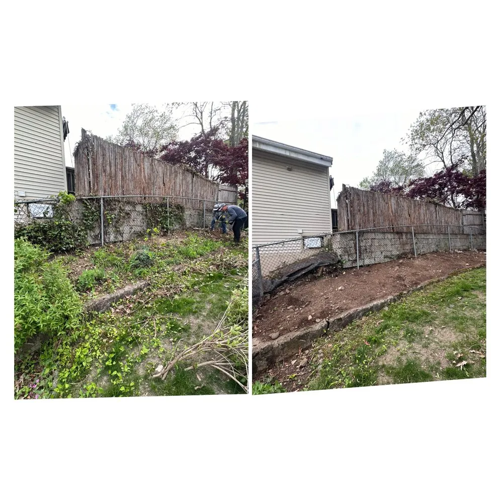 Top-rated yard cleanup service for year-round maintenance in Waltham, MA by E. Carias Landscaping & Construction