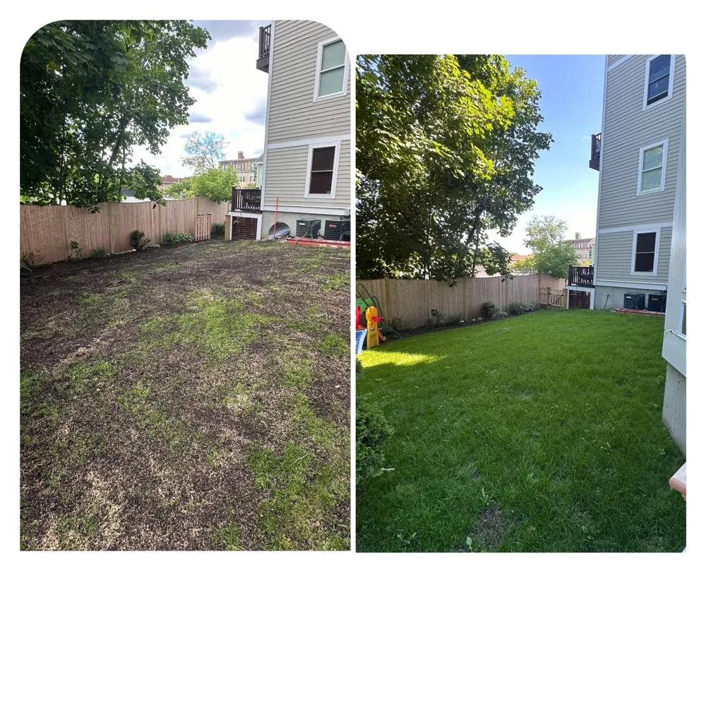 Top-rated lawn mowing service experts serving Waltham, MA - E. Carias Landscaping & Construction