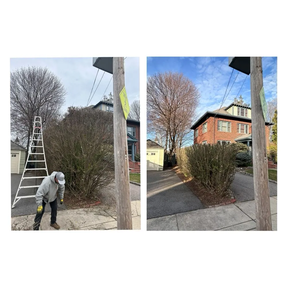 Expert lawn care service near you across Waltham, MA - E. Carias Landscaping & Construction