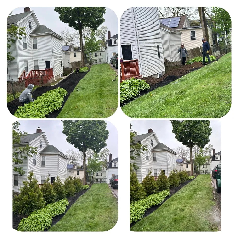 Affordable yard cleanup service for year-round maintenance across Waltham, MA - E. Carias Landscaping & Construction