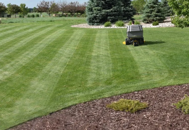 Expert lawn mowing service for residential properties across Caldwell, ID - E-Clips Complete Lawncare