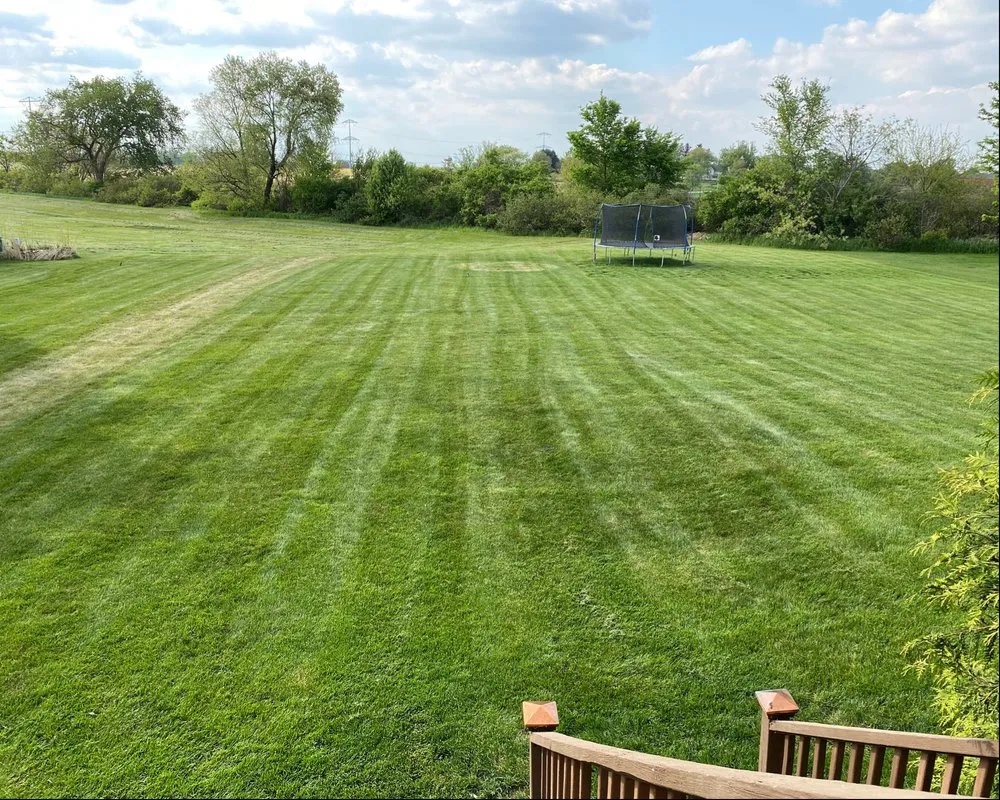 Top-rated lawn care service in Rockford, IL by E-Clips Mowing Service