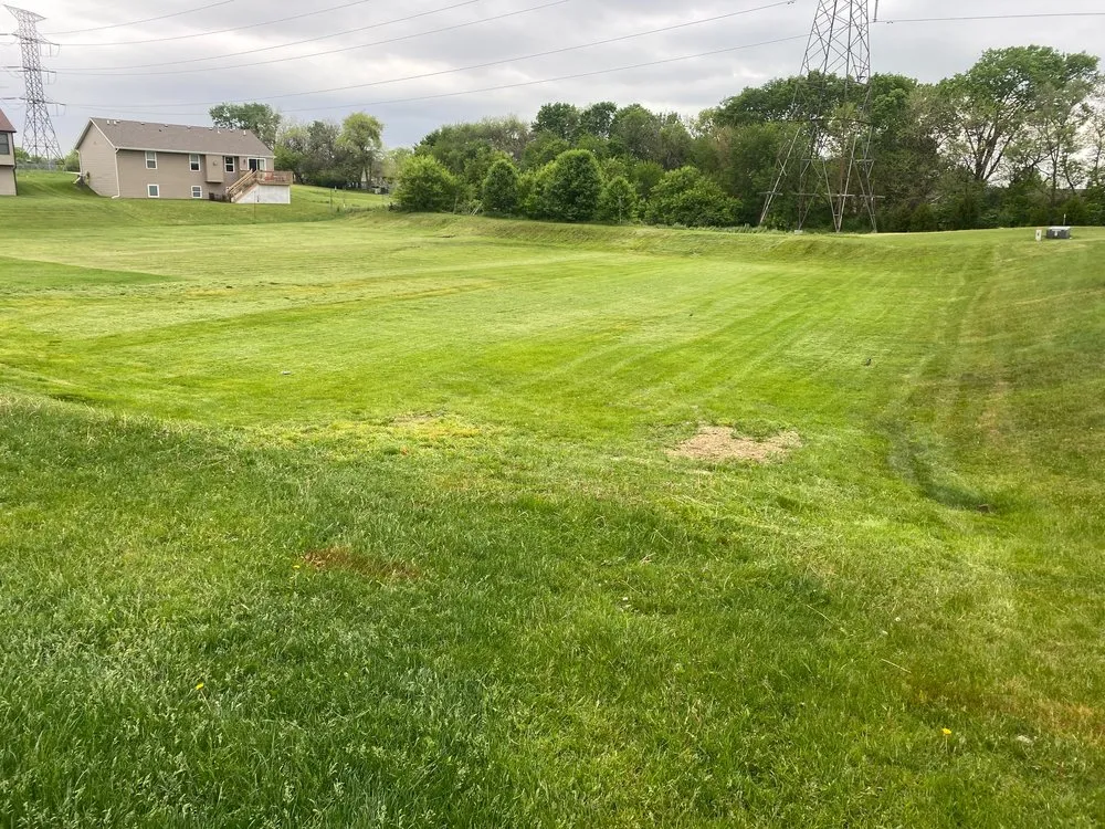 Affordable lawn mowing service in Rockford, IL - E-Clips Mowing Service