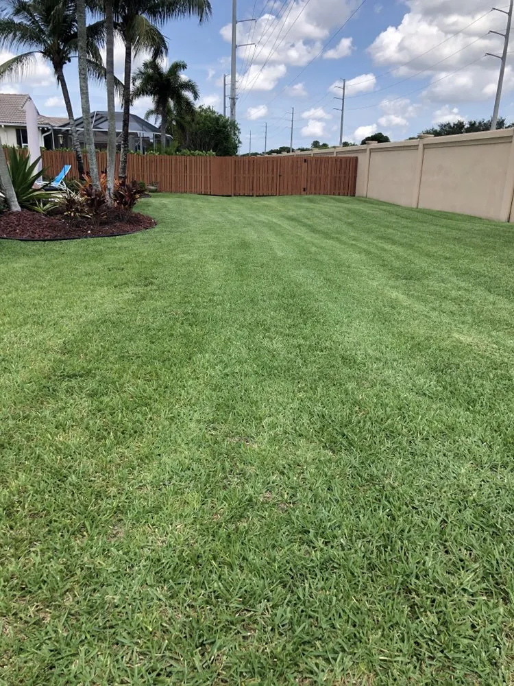 Affordable lawn care service experts serving Hialeah, FL - E Flores Landscaping