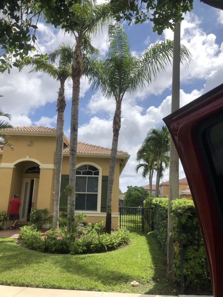 Expert yard maintenance for year-round maintenance in Hialeah, FL by E Flores Landscaping