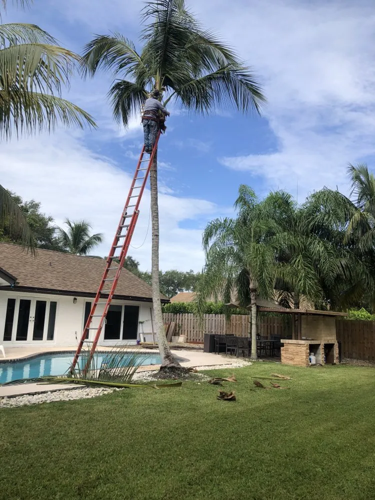 Affordable landscape design for year-round maintenance in Hialeah, FL by E Flores Landscaping