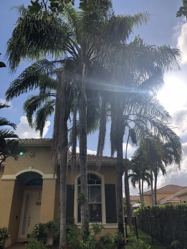 Trusted residential landscaping in Hialeah, FL - E Flores Landscaping