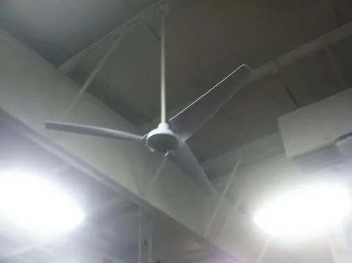 Affordable outdoor landscaping in Pinellas Park, FL by E General Home Pro