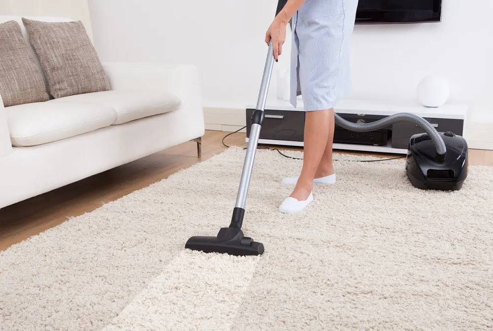 Trusted lawn care service for beautiful yards in Pinellas Park, FL by E General Home Pro