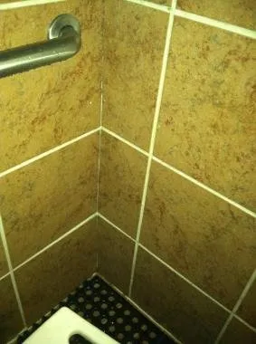 Local outdoor landscaping near you across Pinellas Park, FL - E General Home Pro