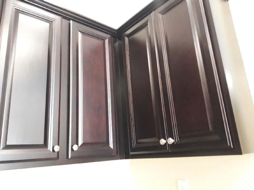 Expert yard maintenance experts serving Pinellas Park, FL - E General Home Pro