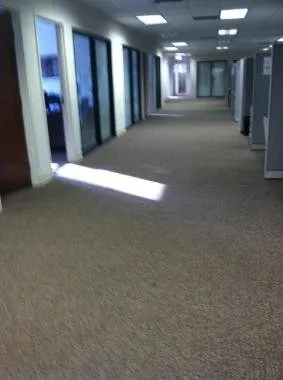 Trusted residential landscaping in Pinellas Park, FL by E General Home Pro