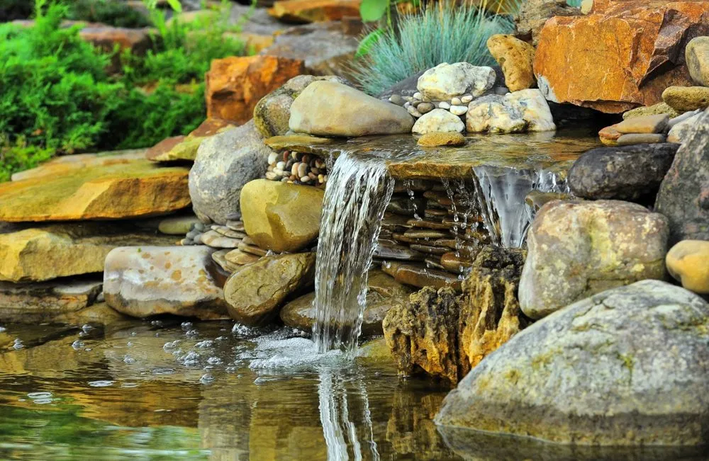 Custom yard maintenance in Pinellas Park, FL by E General Home Pro