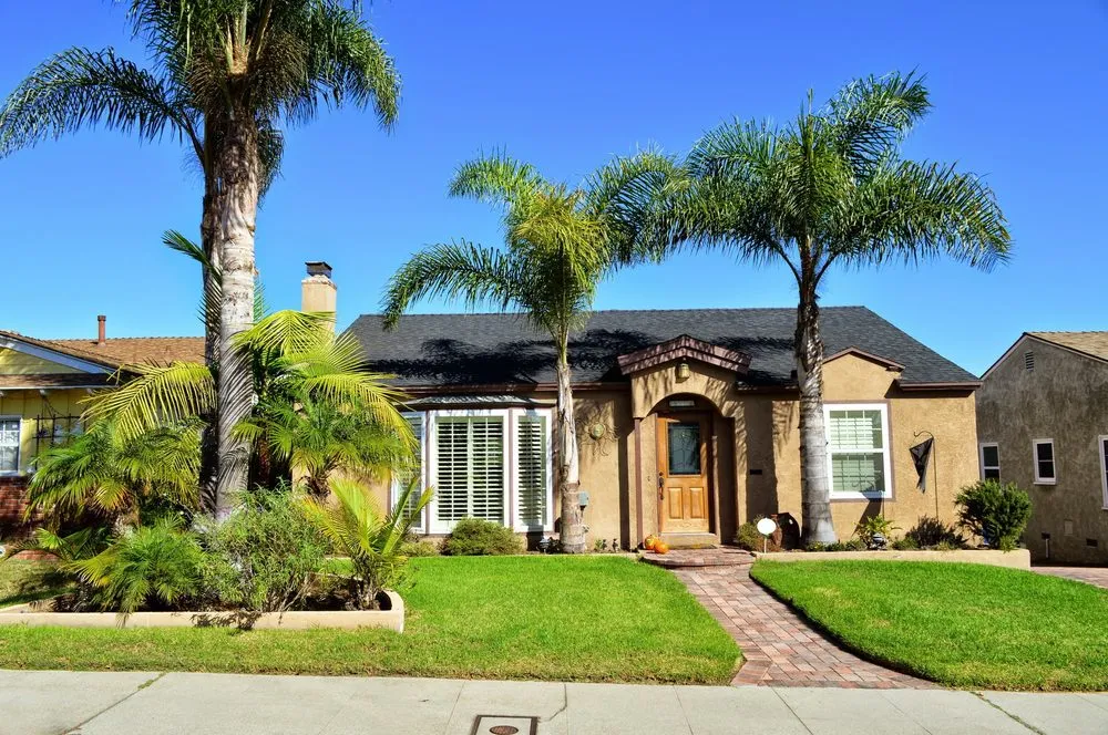 Local lawn care service for year-round maintenance in Pinellas Park, FL by E General Home Pro