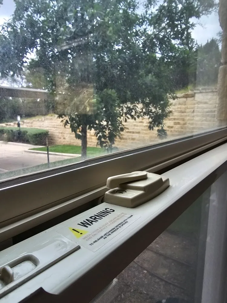 Trusted yard maintenance experts serving San Antonio, TX - E Global Services