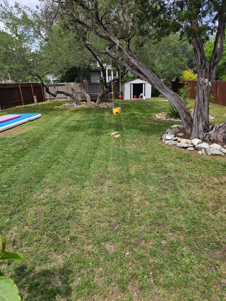 Top-rated yard cleanup service in San Antonio, TX by E Global Services