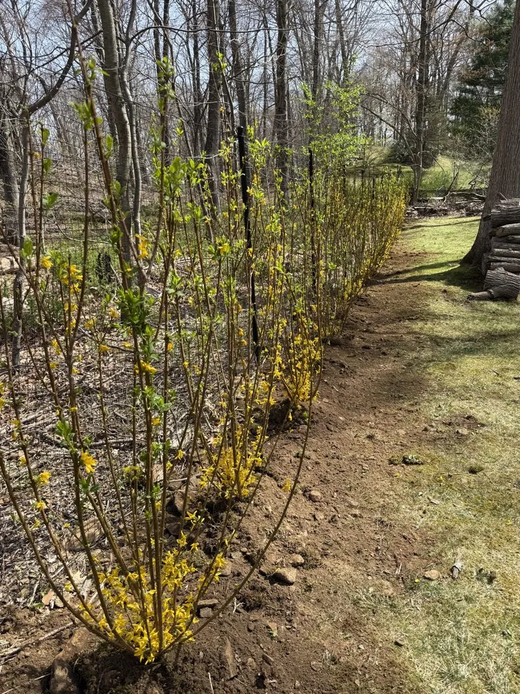 Expert yard cleanup service near you across Mt Kisco, NY - E H Landscaping & Masonry