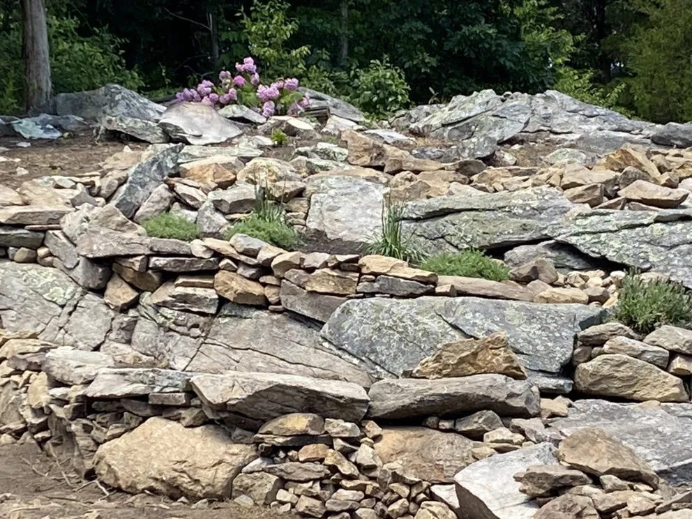 Trusted yard maintenance in Monroe, CT - E L Landscaping Services