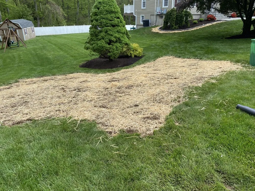 Custom yard cleanup service in Monroe, CT - E L Landscaping Services