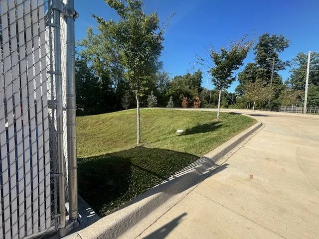 Affordable yard maintenance in Owensboro, KY - E& L Young Lawncare & Repair