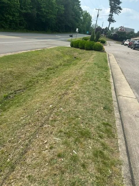 Expert outdoor landscaping in Owensboro, KY by E& L Young Lawncare & Repair