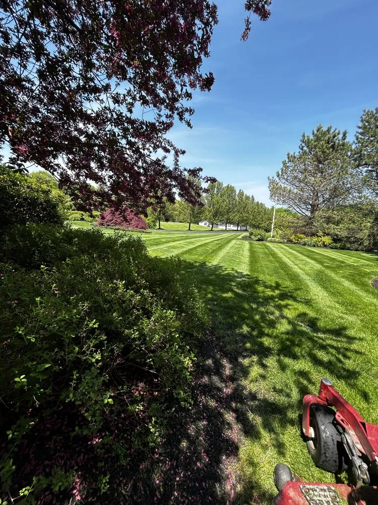 Affordable yard cleanup service with custom design across Lawrence, MA - E  Landscaping & Construction