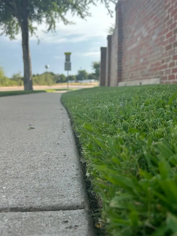 Reliable garden landscaping for beautiful yards in Argyle, TX by E Lawn