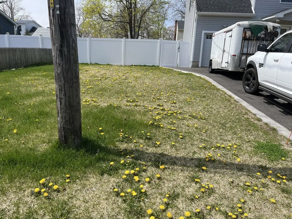 Top-rated landscaping services for year-round maintenance in Mastic Beach, NY by E Lawn Care