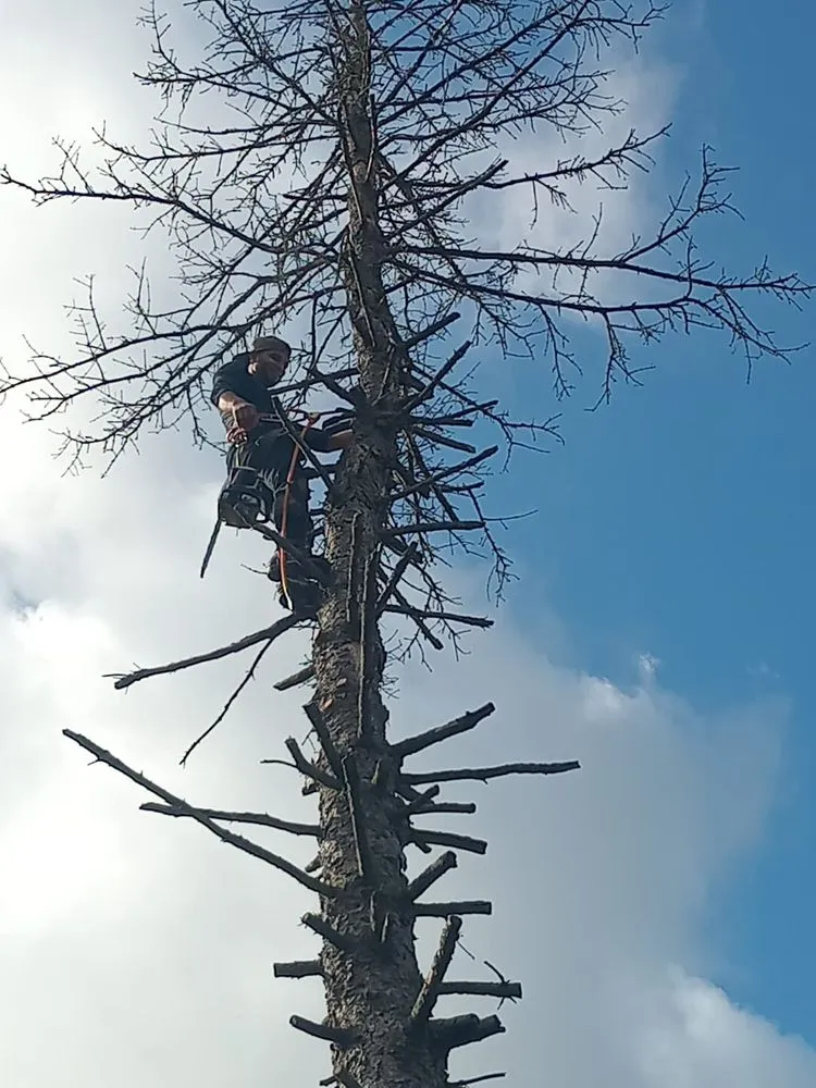 Professional landscaping services with custom design in Mastic Beach, NY by E Lawn Care