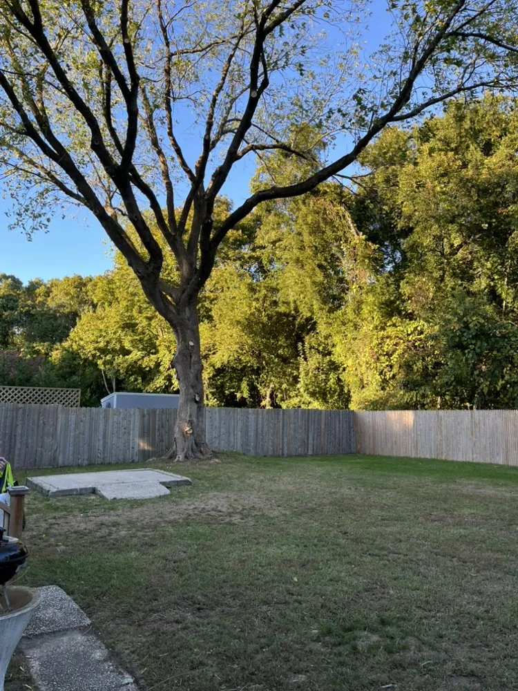 Reliable landscape design for year-round maintenance across Mastic Beach, NY - E Lawn Care